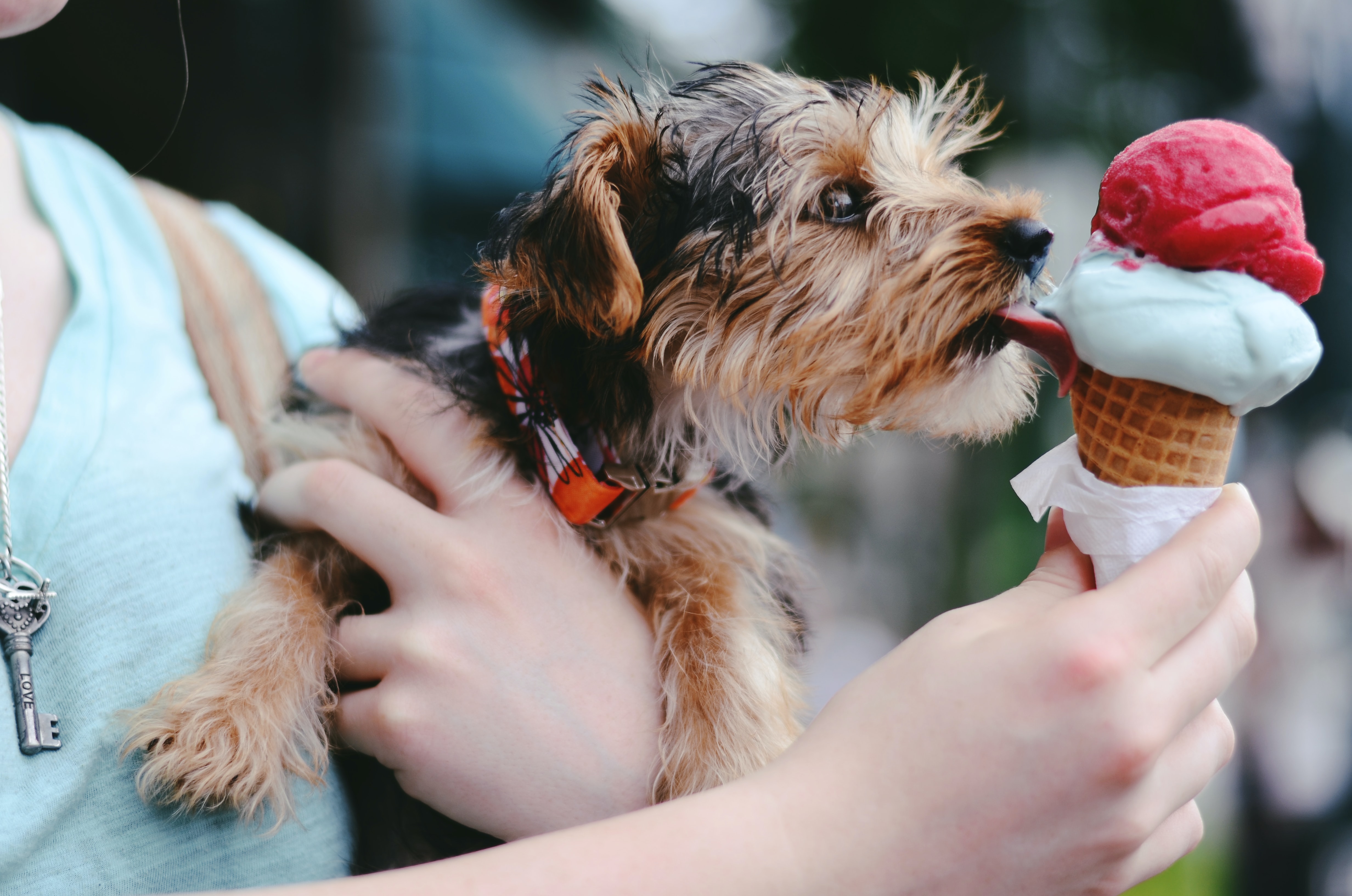 I is for ice cream