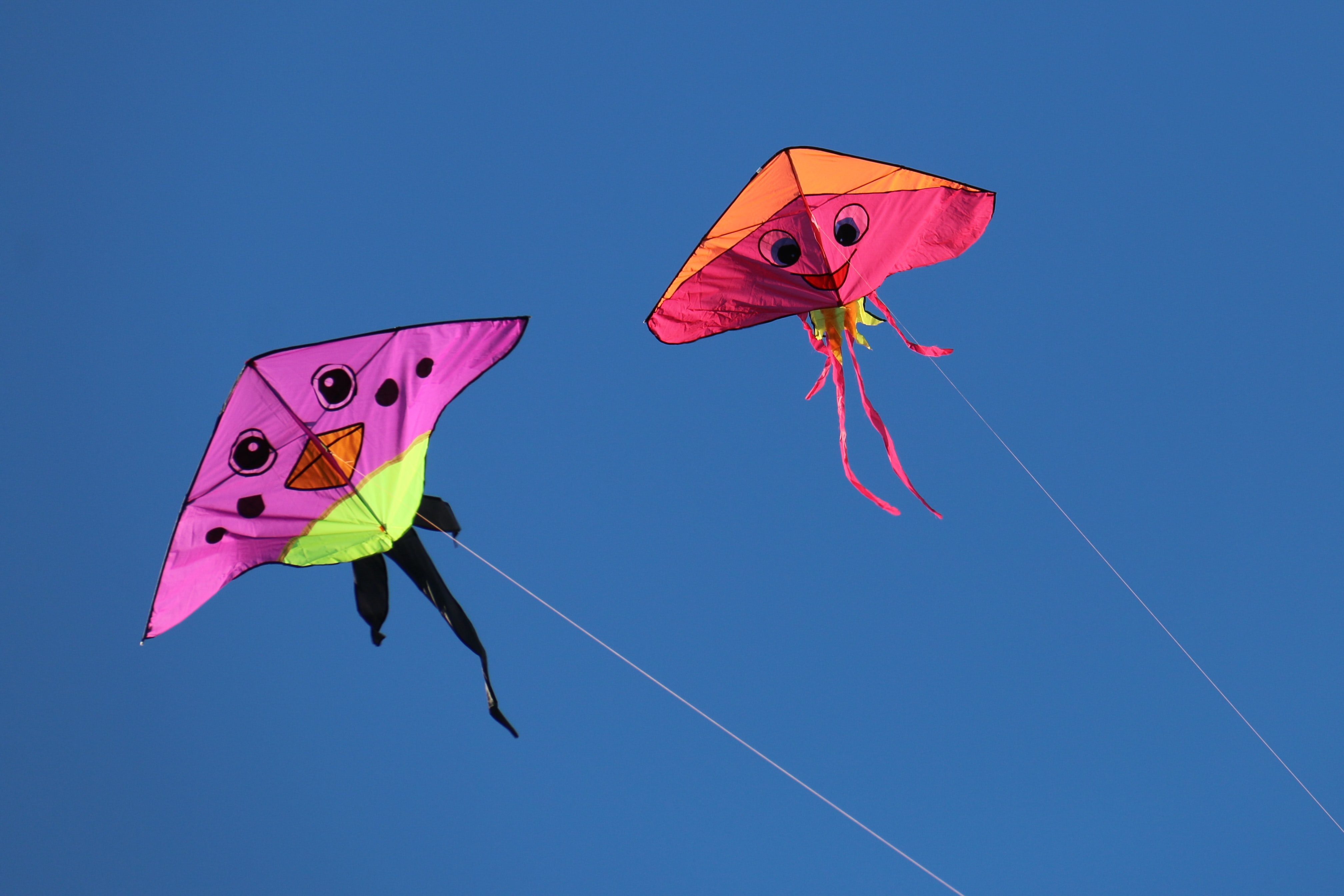 K is for kite