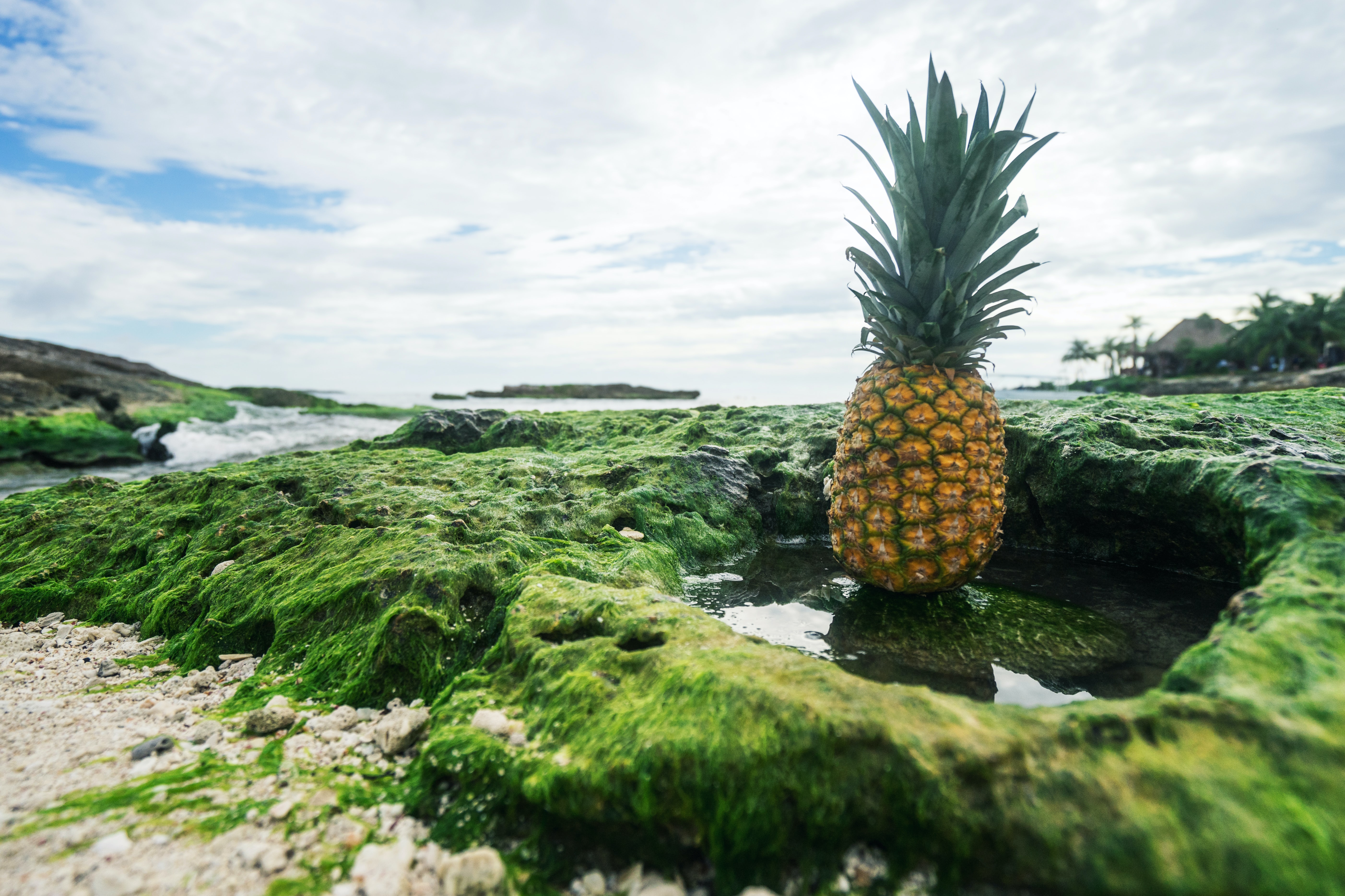 P is for pineapple