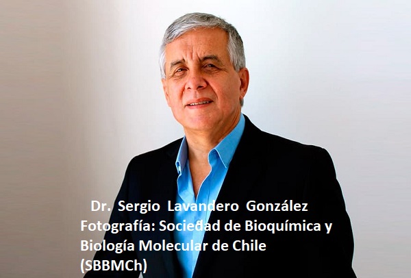 Dr. Sergio Lavandero González