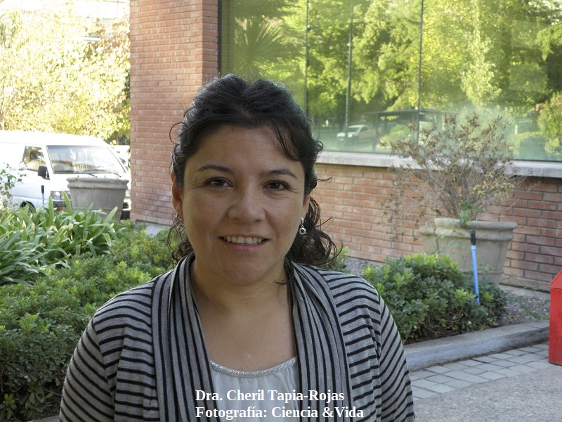 Dra. Cheril Tapia-Rojas
