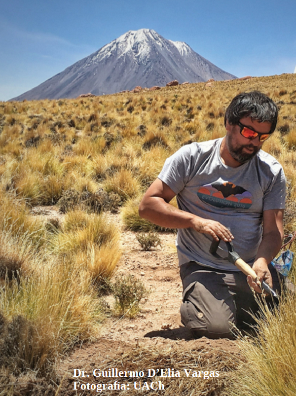 Dr. Guillermo D’Elia Vargas