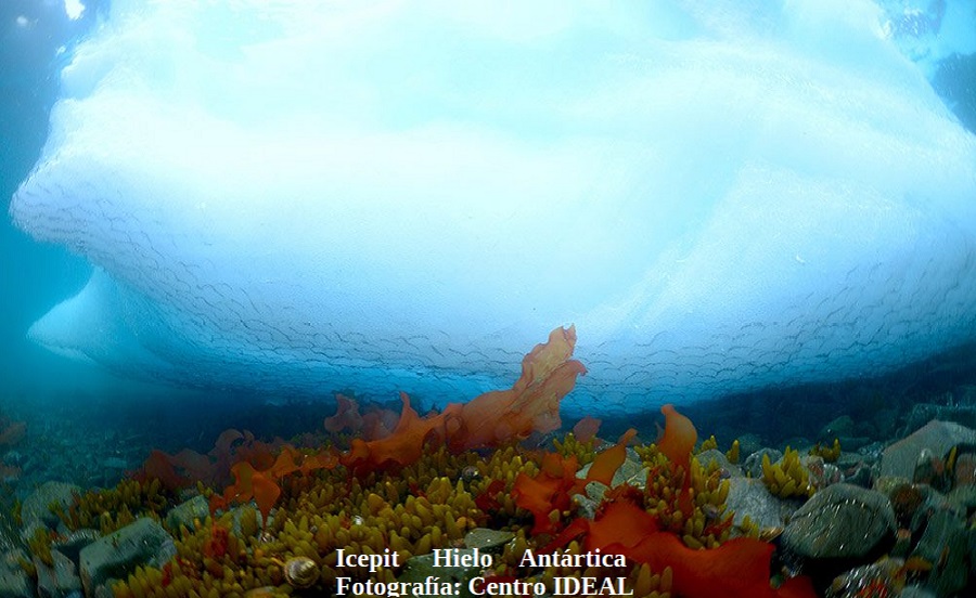 Icepit Hielo Antártica