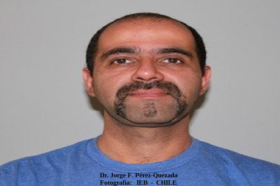 Jorge Pérez Quedaza