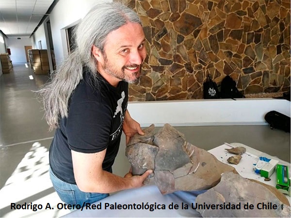 Rodrigo A. Otero