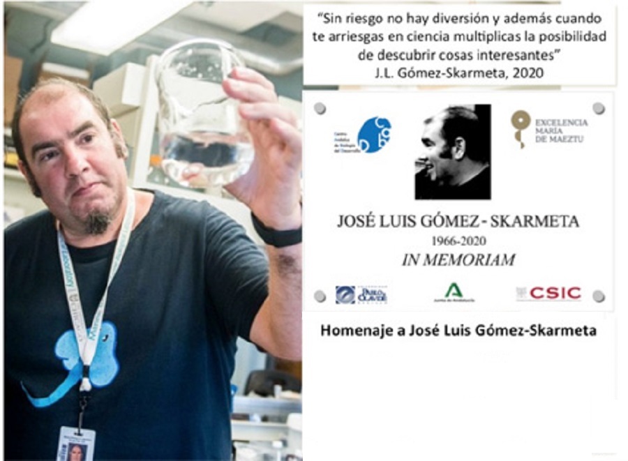 Jose Luis Gómez-Skarmeta